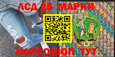 мяу мяу мука Гатчина