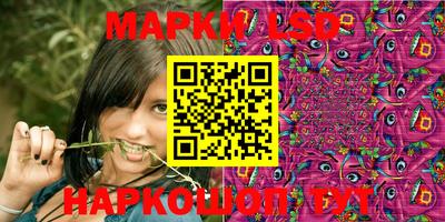 мяу мяу мука Гатчина