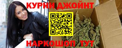 мяу мяу мука Гатчина