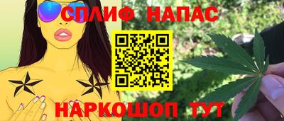 мяу мяу мука Гатчина
